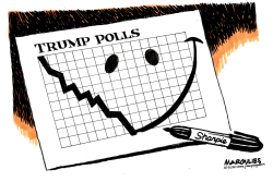 TRUMP POLLS by Jimmy Margulies