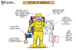 VOTING IN AMERICA by Bruce Plante