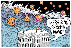 THERE IS NO SECOND WAVE by Monte Wolverton