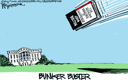 BUNKER BUSTER by Milt Priggee
