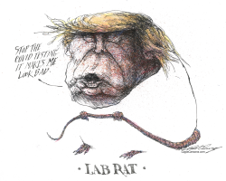 LAB RAT by Dale Cummings