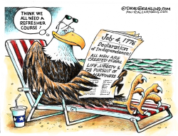 JULY 4TH MEANING by Dave Granlund