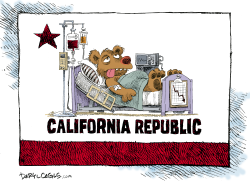 SICK CALIFORNIA by Daryl Cagle