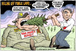 SELLING OFF PUBLIC LAND  by Monte Wolverton