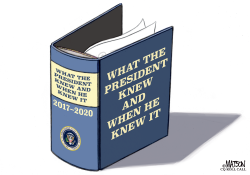 WHAT THE PRESIDENT KNEW by R.J. Matson