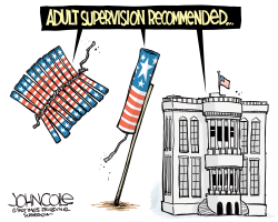 ADULT SUPERVISION AT THE WHITE HOUSE by John Cole