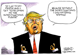 TRUMP INVESTIGATIONS by Dave Whamond