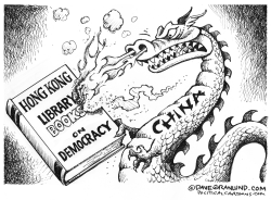 China vs Hong Kong books by Dave Granlund