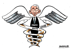 FAUCI AND THE WHITE HOUSE by Jimmy Margulies