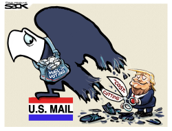 MAIL-IN VOTING by Steve Sack