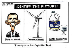 TRUMP COGNITIVE TEST by Jimmy Margulies