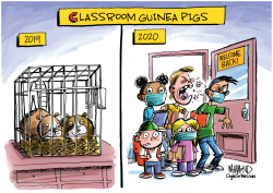 SCHOOLS TO REOPEN AMID PANDEMIC by Dave Whamond