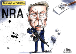 NRA LAWSUIT by Dave Whamond