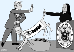 THE NRA SCANDAL by Rainer Hachfeld