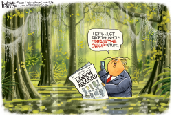 SWAMPY TRUMP AND BANNON by Rick McKee