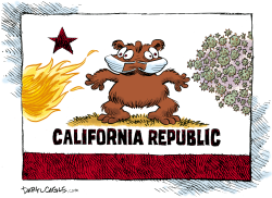 CALIFORNIA FACES FIRES AND PANDEMIC by Daryl Cagle