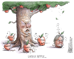 BANNON AND THE DON FATHER by Adam Zyglis