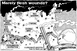 MERELY FLESH WOUNDS by Wolverton