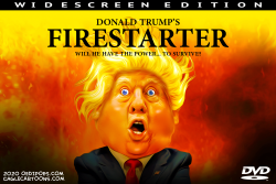 Donald Trump's Firestarter by Bart van Leeuwen