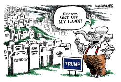 HEY YOU, GET OFF MY LAWN! by Jimmy Margulies