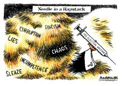 NEEDLE IN A HAYSTACK by Jimmy Margulies