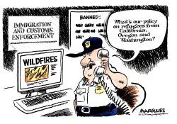 WILDFIRE EVACUATIONS by Jimmy Margulies