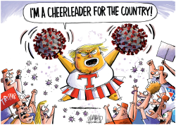 CHEERLEADER FOR THE COUNTRY by Dave Whamond