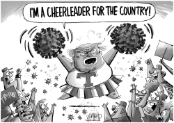 Cheerleader for the Country by Dave Whamond