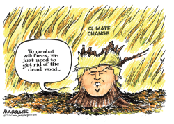 WILDFIRES AND CLIMATE CHANGE by Jimmy Margulies