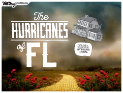 HURRICANES OF FL by Bill Day