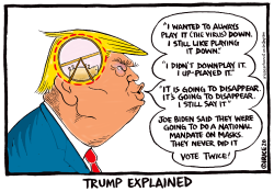 TRUMP EXPLAINED by Ingrid Rice