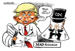 MAD SCIENTIST by Jimmy Margulies