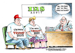 TRUMP'S INCOME TAXES by Dave Granlund