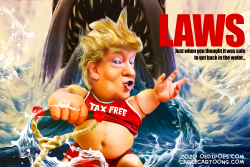Laws - Trump taxes by Bart van Leeuwen
