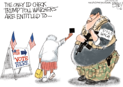 POLL WATCHER SALUTE by Pat Bagley