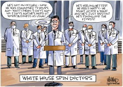 WHITE HOUSE SPIN DOCTORS by Dave Whamond