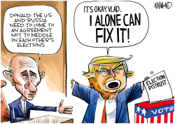 THE FIXER by Dave Whamond