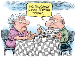 STOP THE CRAZY by Daryl Cagle