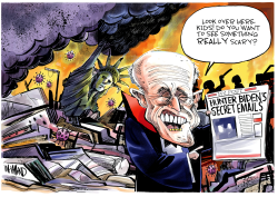 HUNTER BIDEN'S SCARY EMAILS by Dave Whamond