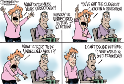 UNDECIDED VOTERS by Joe Heller