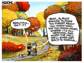 AUTUMN DISTRACTION by Steve Sack