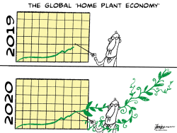 THE GLOBAL PLANT ECONOMY BOOM by Manny Francisco