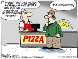UNDECIDED VOTER by Bob Englehart