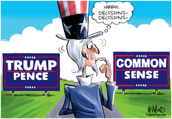 AMERICA DECIDES by Dave Whamond