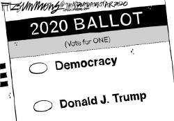 ON YOUR BALLOT by David Fitzsimmons