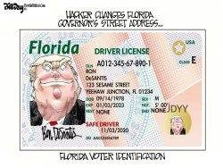 FLORIDA - DESANTIS VOTER ID by Bill Day
