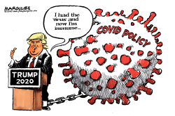TRUMP IS IMMUNE FROM COVID by Jimmy Margulies