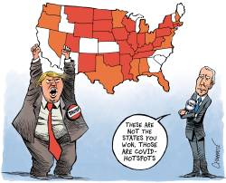 THE ELECTORAL MAP by Patrick Chappatte