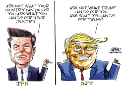 ASK WHAT YOU CAN DO FOR YOUR COUNTRY by Dave Whamond