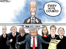 VOTES THAT COUNT by Kevin Siers